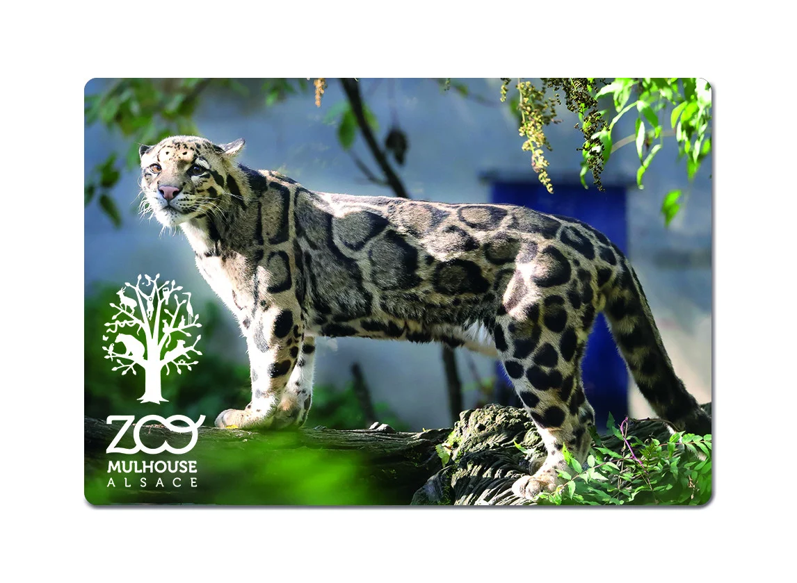 Magnets Personnalisés : Souvenirs Idéaux pour Musées, Zoos et Offices de Tourisme